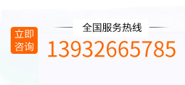 13932665785
